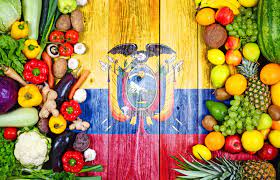 Hoy 12 de Diciembre celebramos el Día de la Gastronomía, Productos y Alimentos Saludables del&nbsp;Ecuador
